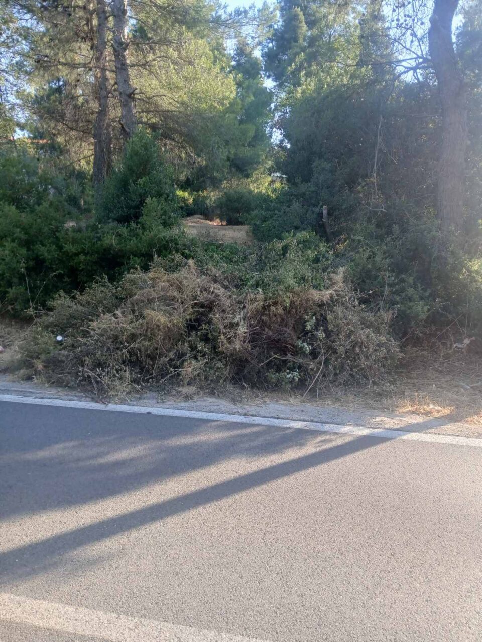 Καθάρισαν τα οικόπεδα, αλλά η καύσιμη ύλη έμεινε στους δρόμους-1