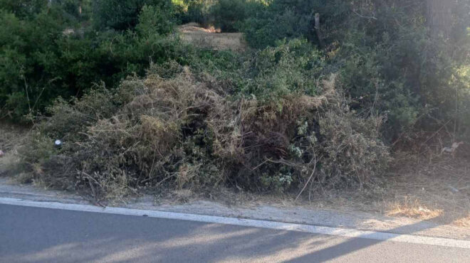 καθάρισαν-τα-οικόπεδα-αλλά-η-καύσιμη-ύ-564304852