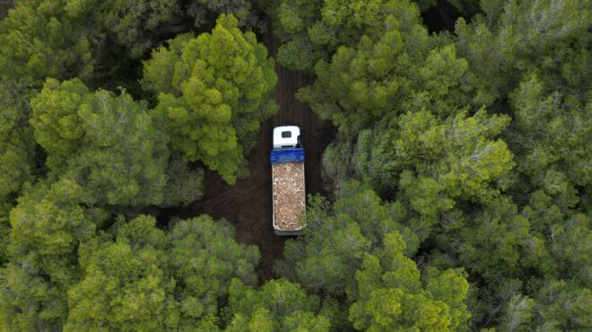 το-real-estate-του-ράμα-564268864