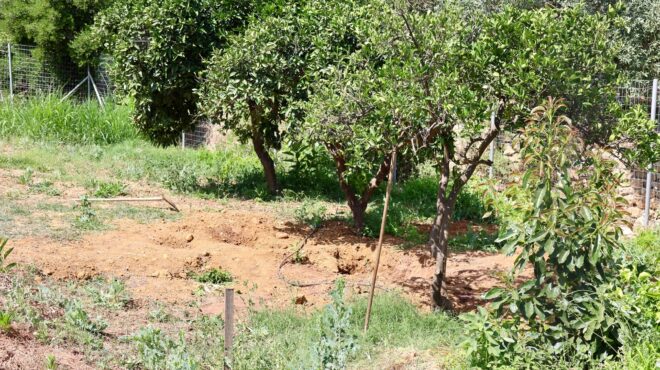 εγκλημα-στα-χανιά-οι-αντιφάσεις-που-οδ-564300766