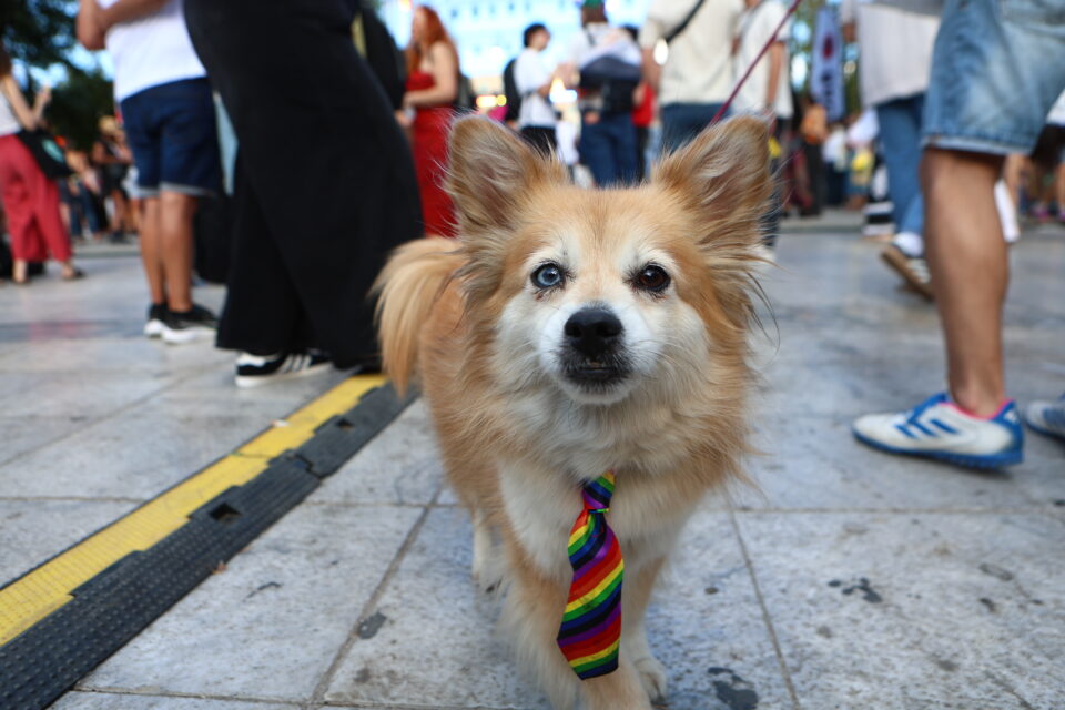 Athens Pride 2026: Χιλιάδες κόσμου στη γιορτή ισότητας και υπερηφάνειας – Εικόνες-4