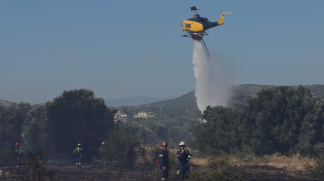 πυροσβεστική-41-αγροτοδασικές-πυρκαγι-564300328