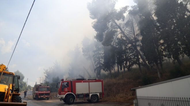 ωραιόκαστρο-τραγωδία-με-δύο-νεκρούς-σ-564316723