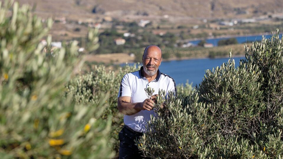 Στη Λέσβο ξέρουν απο καλό λάδι-10