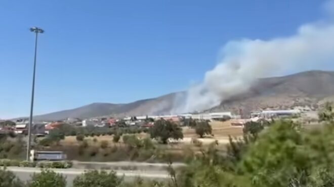 φωτιά-σε-χαμηλή-βλάστηση-στον-ασπρόπυ-564262891