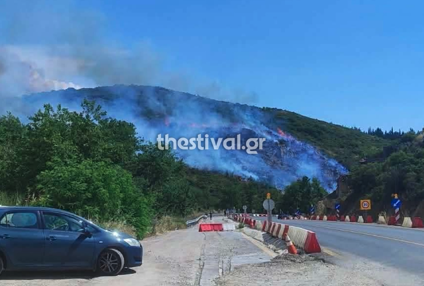 Φωτιά στα Πεύκα Θεσσαλονίκης – Ηχησε το 112-1