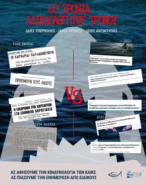 iSea: Αδικαιολόγητος ο πανικός με τον λαγοκέφαλο – «Αδιασταύρωτες οι πληροφορίες για επιθέσεις»-2