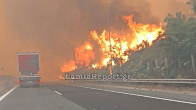 φωτιά-στο-ακραίφνιο-βοιωτίας-ανοιξε-564300211