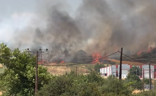 φωτιά-στο-δερβένι-ενισχύονται-οι-δυνά-564316483