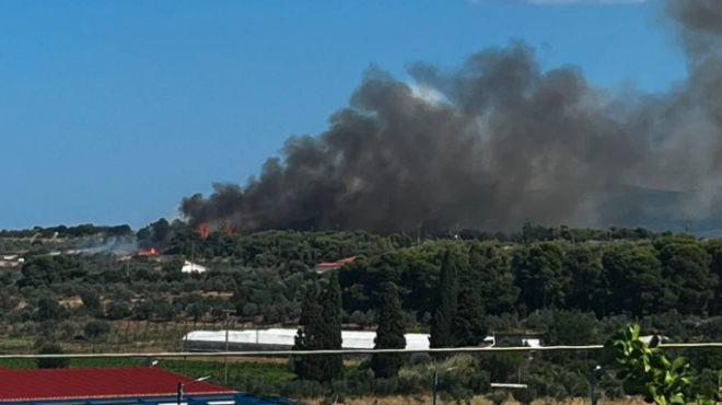 φωτιά-στην-κορινθία-ηχησε-το-112-564316648