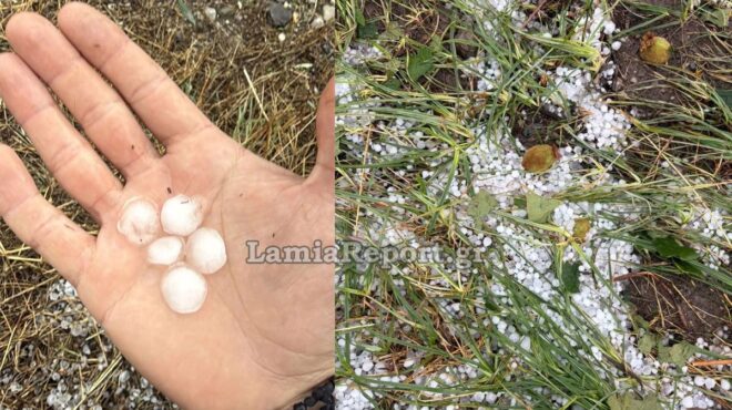 χαλάζι-σε-μέγεθος-φουντουκιού-αφάνισ-564281371