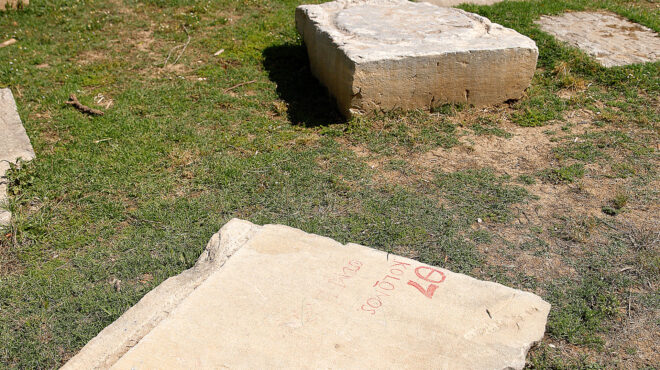 τα-κοτέτσια-στην-ακαδημία-του-πλάτω-564269671