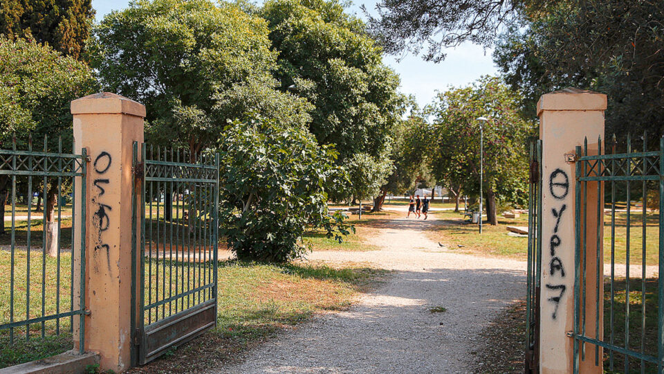 Τα «κοτέτσια» στην Ακαδημία του Πλάτωνος-4