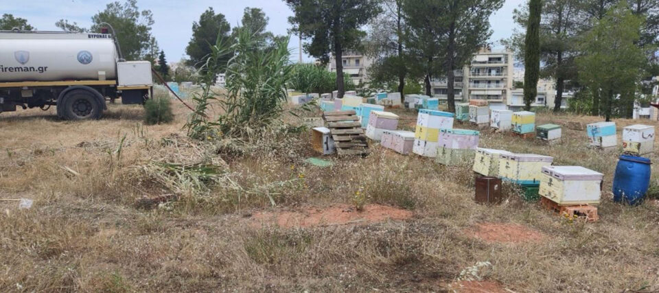 Αλσος Βεΐκου: Από μελίσσια ξεκίνησε η φωτιά – Αναζητούνται οι μελισσοκόμοι-2