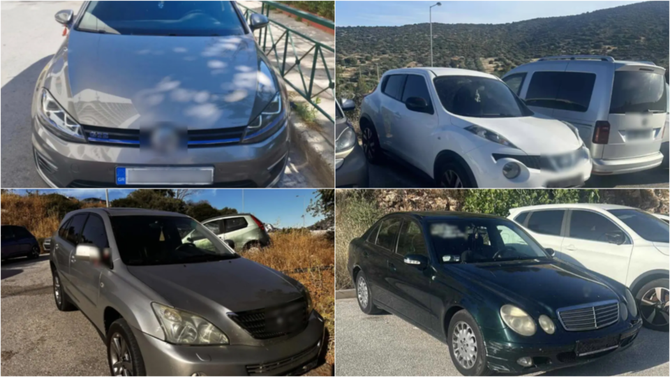 «Δάσος» κάνναβης με 6.600 δενδρύλλια ανακαλύφθηκε στην Κορινθία (βίντεο)-1