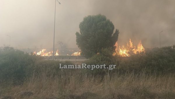 Εικόνες και βίντεο από τη μεγάλη πυρκαγιά στη Βοιωτία-2
