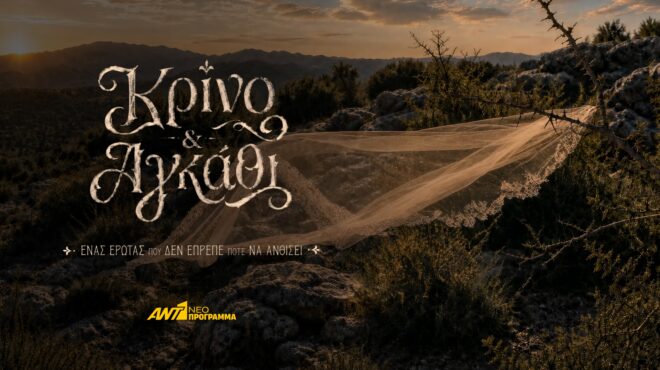 κρίνο-αγκάθι-ερχεται-στο-νέο-πρόγρ-564272017