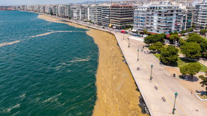 επανεμφανίστηκε-το-φυτοπλαγκτόν-στο-564271855