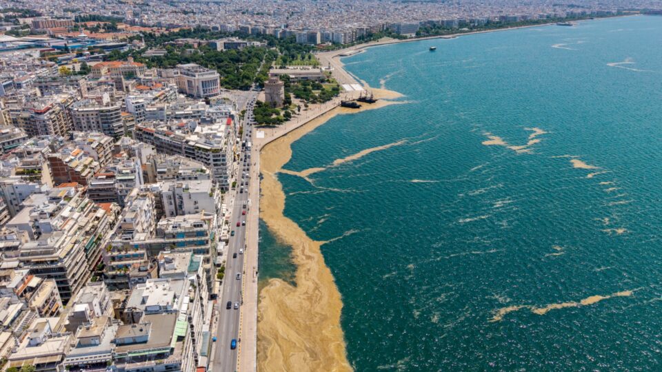 Επανεμφανίστηκε το φυτοπλαγκτόν στον Θερμαϊκό – Εικόνες από το παραλιακό μέτωπο-1
