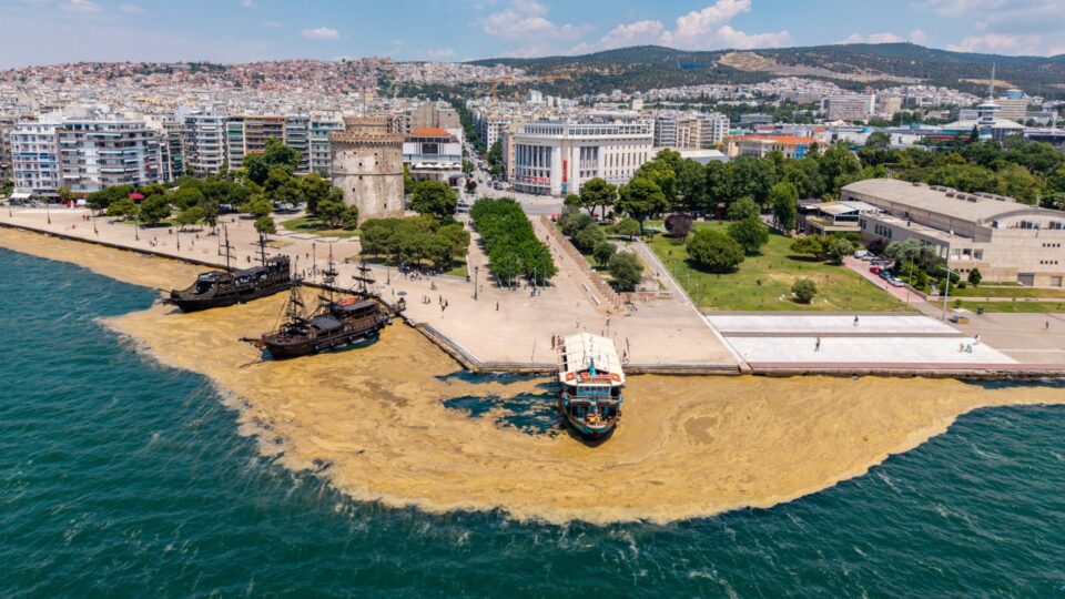 Επανεμφανίστηκε το φυτοπλαγκτόν στον Θερμαϊκό – Εικόνες από το παραλιακό μέτωπο-2