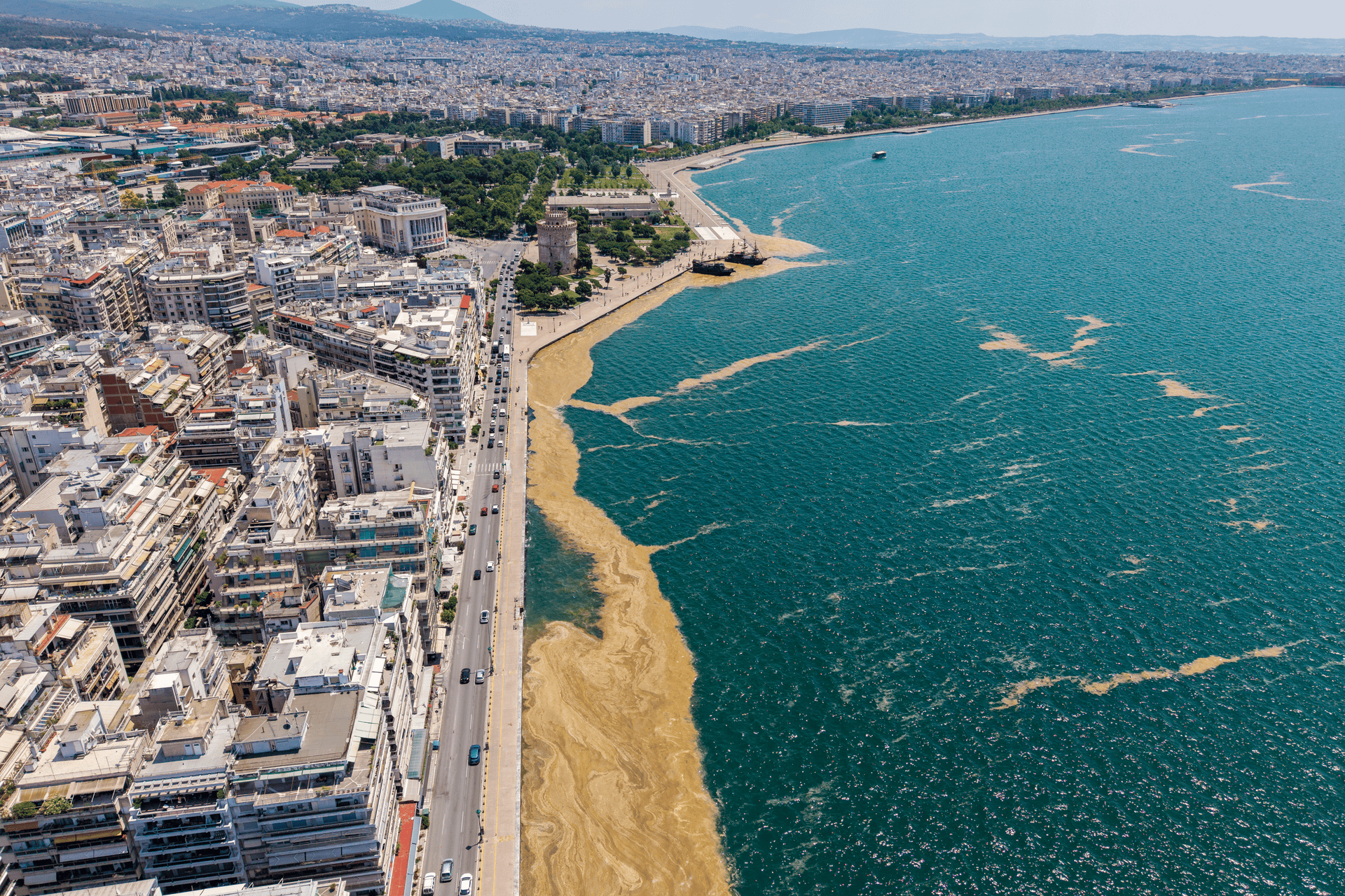 επανεμφανίστηκε-το-φυτοπλαγκτόν-στο-564271870