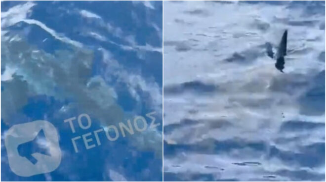 καρχαρίας-τριών-μέτρων-εντοπίστηκε-σ-564281047