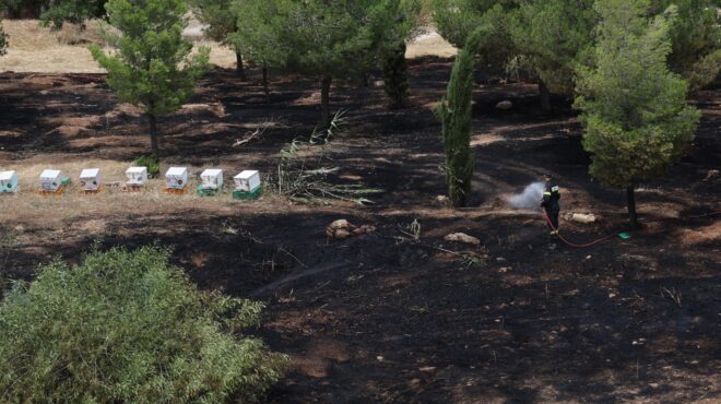 αθώος-ο-μελισσοκόμος-για-τη-φωτιά-στο-α-564268165