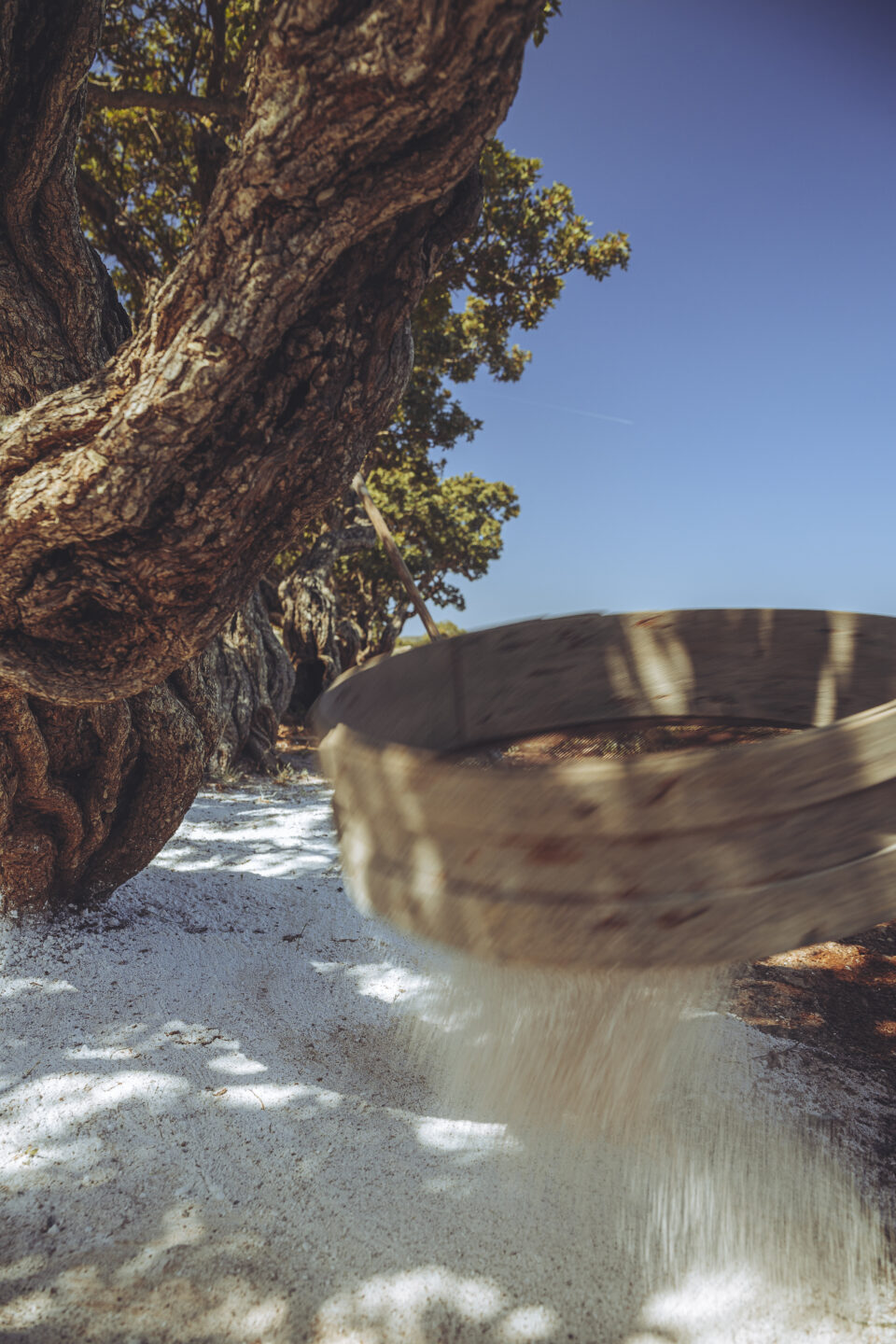 Πέντε ελληνικά χωριά διεκδικούν τον τίτλο «Best Tourism Village»-3