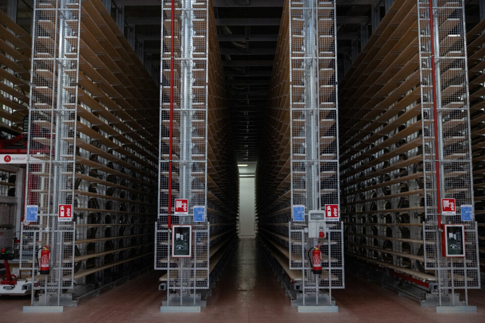 Πώς οι καύσωνες απειλούν την παρμεζάνα, έναν ιταλικό θρύλο 800 ετών-3