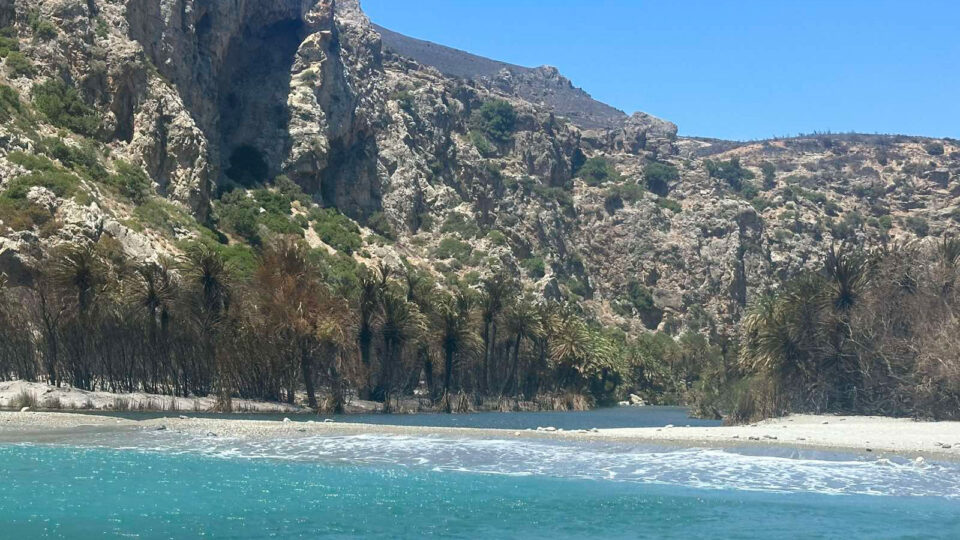 Αυτοψία  στο φοινικόδασος της Πρέβελης: «Γλιτώσαμε τα χειρότερα»-2