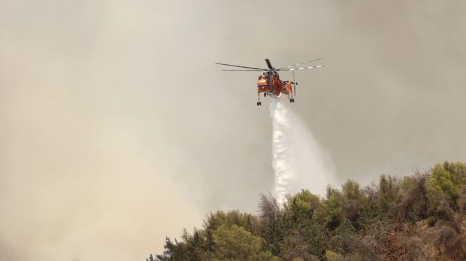 ηράκλειο-φωτιά-σε-αγροτική-έκταση-κον-564336220
