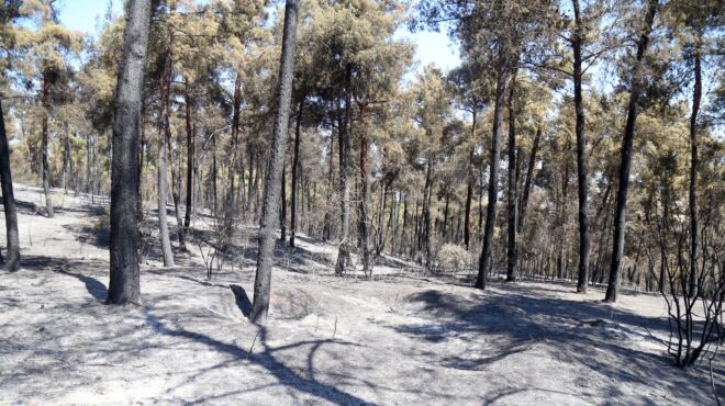 θεσσαλονίκη-απαγόρευση-κυκλοφορίας-564324958