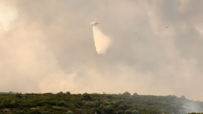 φθιώτιδα-καλύτερη-εικόνα-στο-μέτωπο-τ-564319402