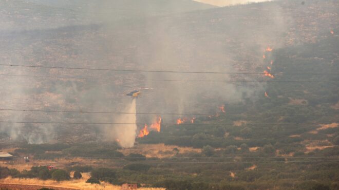 πυροσβεστική-40-αγροτοδασικές-πυρκαγι-564319558