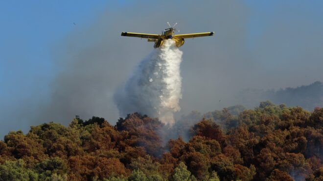 φωτιά-στον-ταρσό-βοιωτίας-σηκώθηκαν-564341164