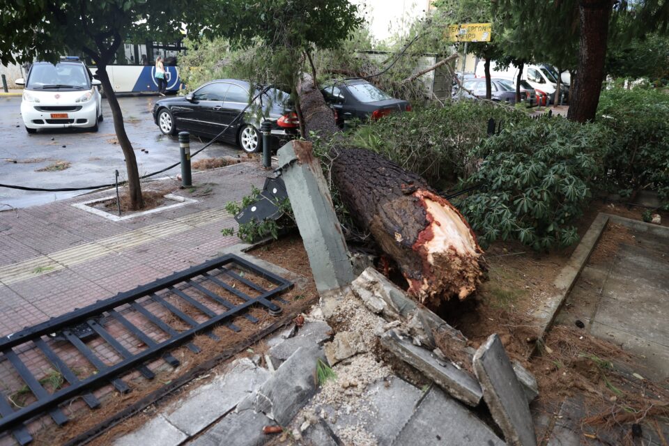 Κακοκαιρία: Κατέρρευσε σκαλωσιά στον Πειραιά – Πτώσεις δέντρων στην Αθήνα-4