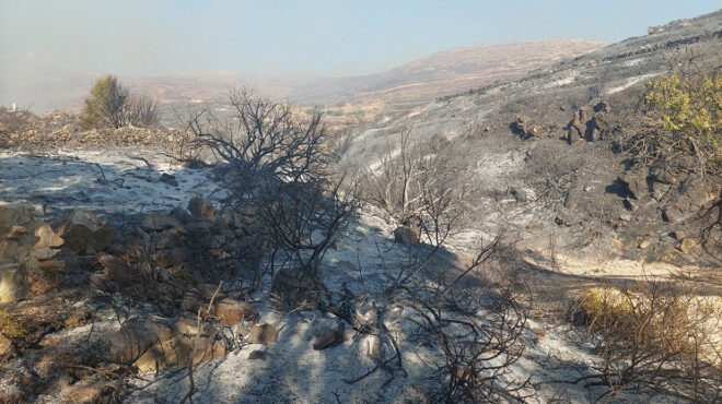 πάρος-μάχη-για-να-μην-επεκταθεί-η-φωτιά-564371428