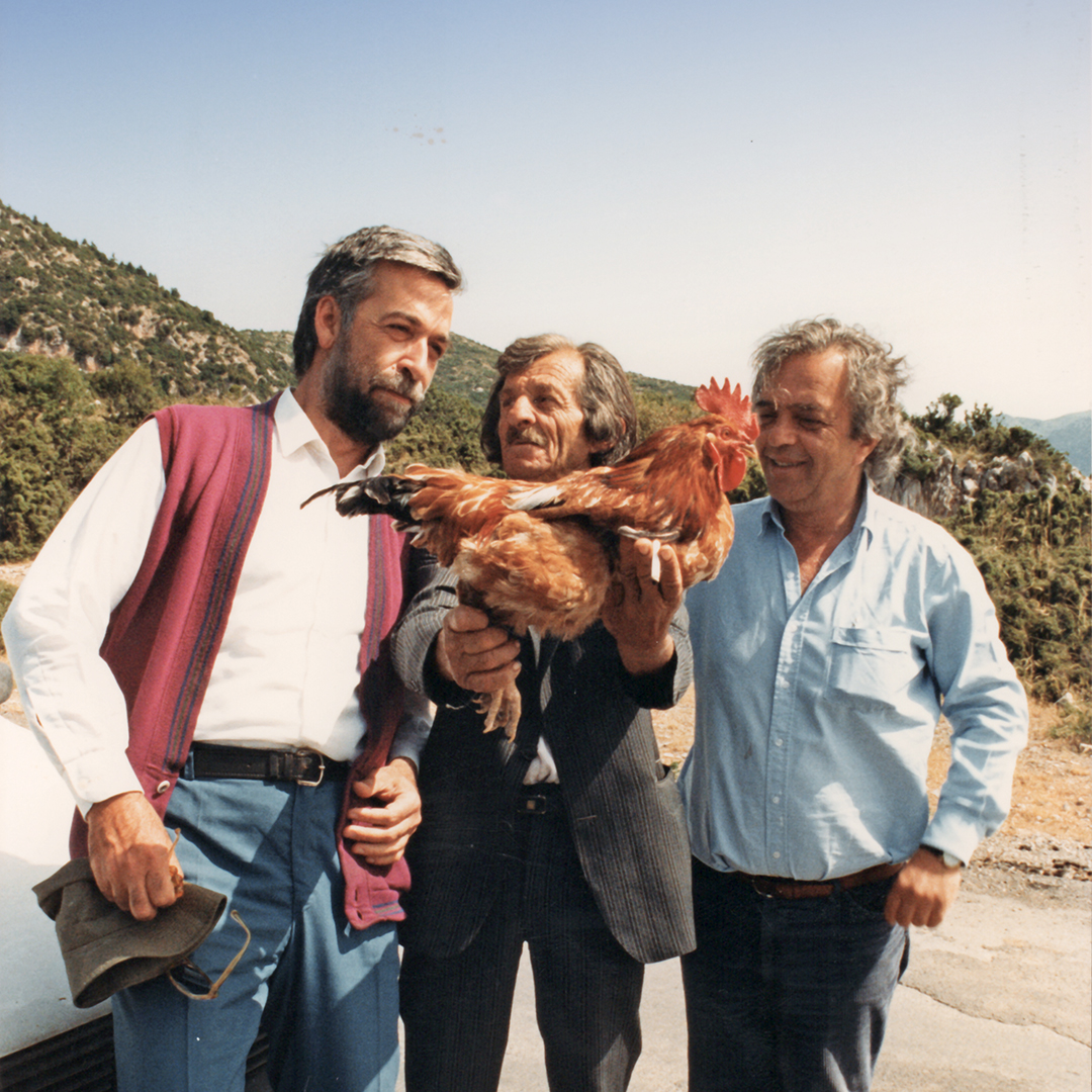 η-αρκαδία-του-σταύρου-τσιώλη-564323608