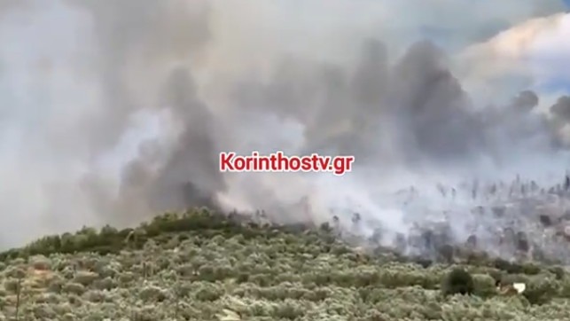 χωρίς-ενεργό-μέτωπο-η-φωτιά-στο-σπαθοβ-564323968