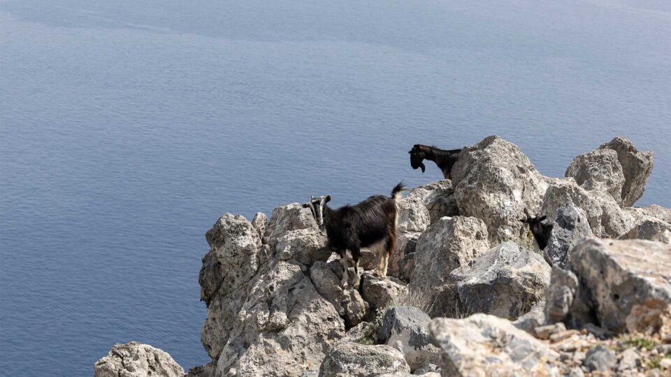 5 αγαπημένες συνήθειες στα Σφακιά -5