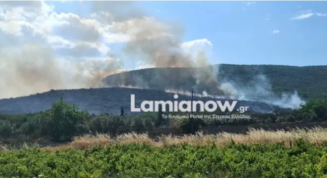 Φθιώτιδα: Καλύτερη εικόνα στο μέτωπο της φωτιάς – Ενισχύθηκαν οι δυνάμεις-3