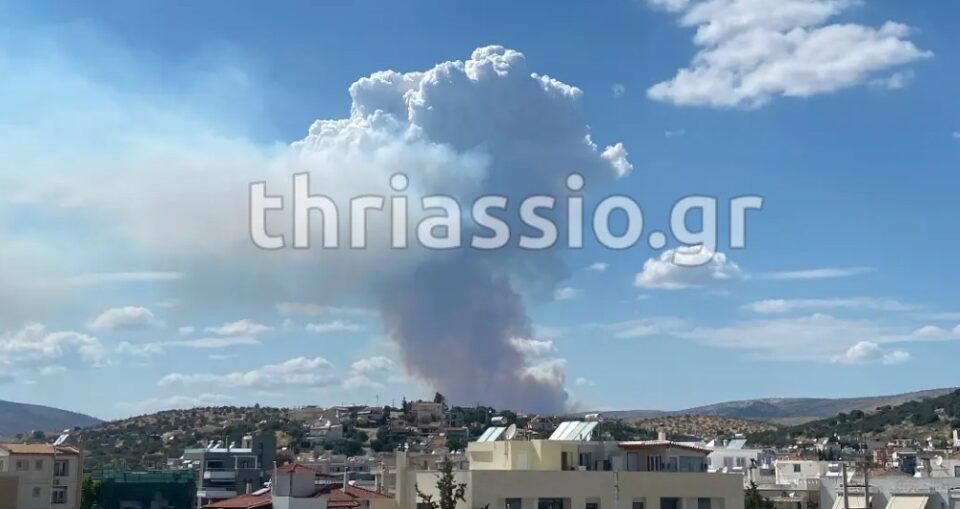 Φωτιά τώρα στην Οινόη Αττικής – Μεγάλη κινητοποίηση της Πυροσβεστικής-1