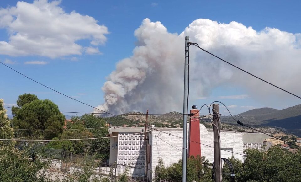 Φωτιά τώρα στην Οινόη Αττικής – Μεγάλη κινητοποίηση της Πυροσβεστικής-2