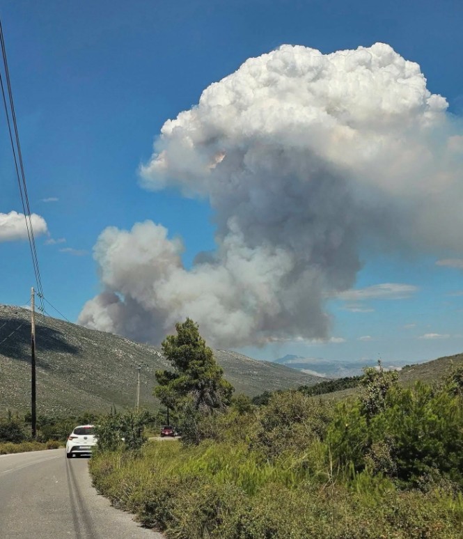 Φωτιά τώρα στην Οινόη Αττικής – Μεγάλη κινητοποίηση της Πυροσβεστικής-3