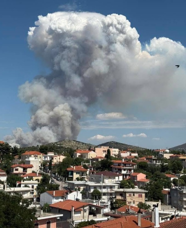 Μάχη με τις εστίες στην Οινόη – Ενισχυμένες οι πυροσβεστικές δυνάμεις-3