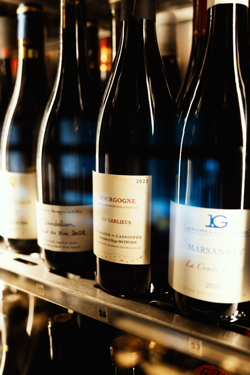 Το Gamay μεγάλωσε και μετακόμισε στο Μοναστηράκι-3