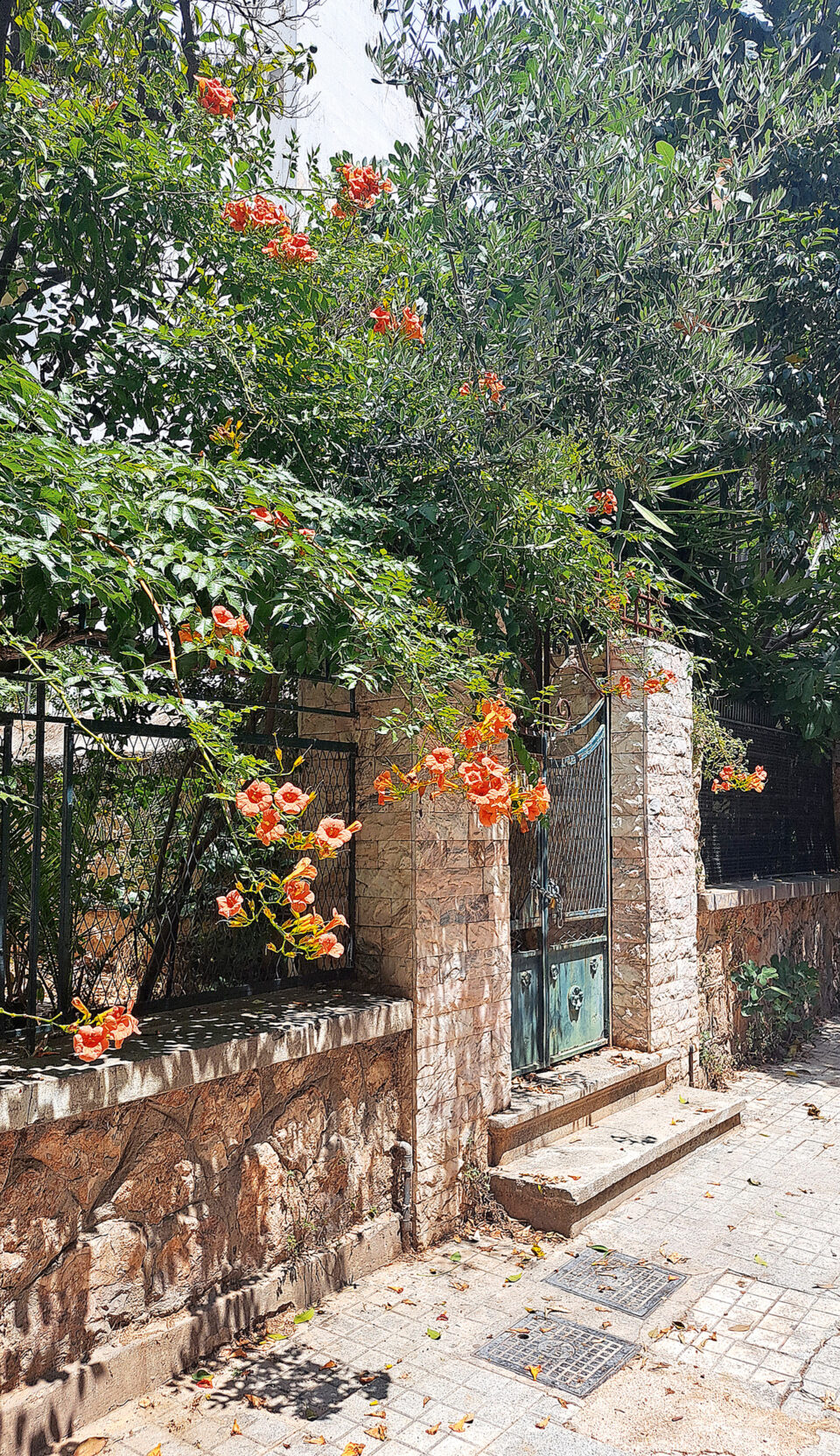 Πατήσια: Μια τόσο αθηναϊκή γειτονιά-1