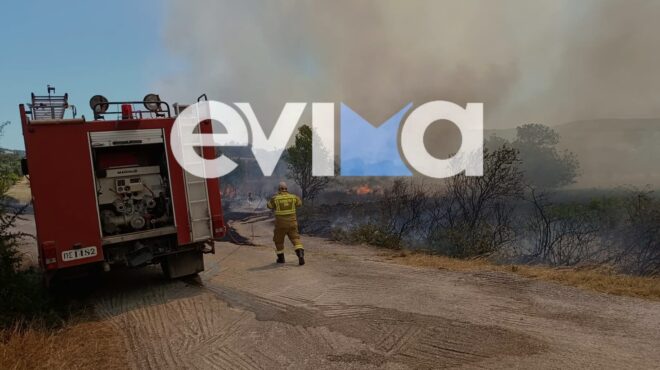 αλιβέρι-ευβοίας-mεγάλη-φωτιά-κοντά-σε-σ-564343270
