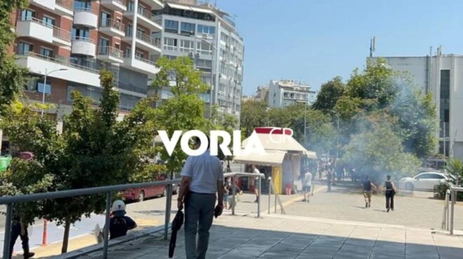 δολοφονία-βάγιας-νέστορα-ενταση-στα-δ-564355012