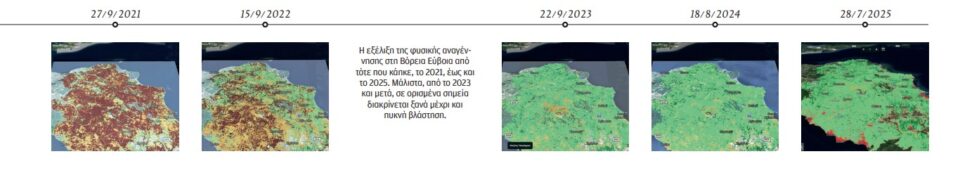 Αγώνας για να κλείσουν οι πληγές της Bόρειας Εύβοιας-9